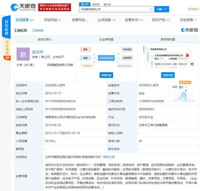 網(wǎng)信集團(tuán)再生變數(shù) 趙會(huì)民被下達(dá)限制消費(fèi)令，金融信息技術(shù)外包服務(wù)受關(guān)注