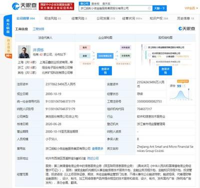 浙江螞蟻小微金融服務(wù)集團(tuán)注冊(cè)資本擴(kuò)容2.55億元，拓展金融信息技術(shù)外包服務(wù)